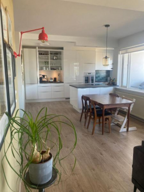 Bright and spacious 2 bedroom apartment in Rvk
